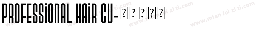 professional hair cu字体转换